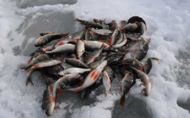 rybalka_v_yanvare_na_ahtube