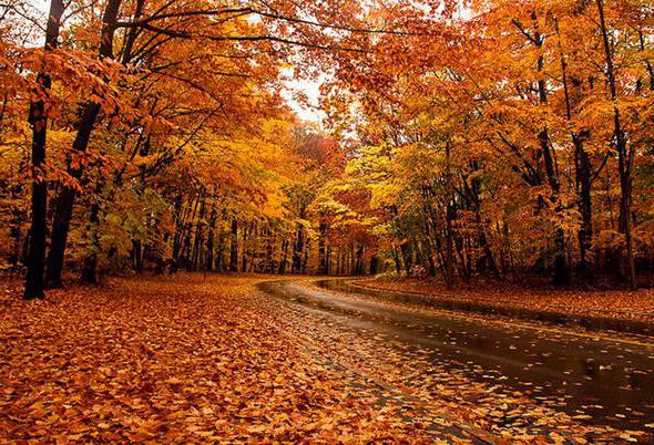 сентябрь приметы