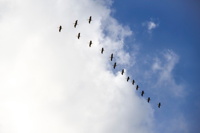 гроза в сентябре народные приметы