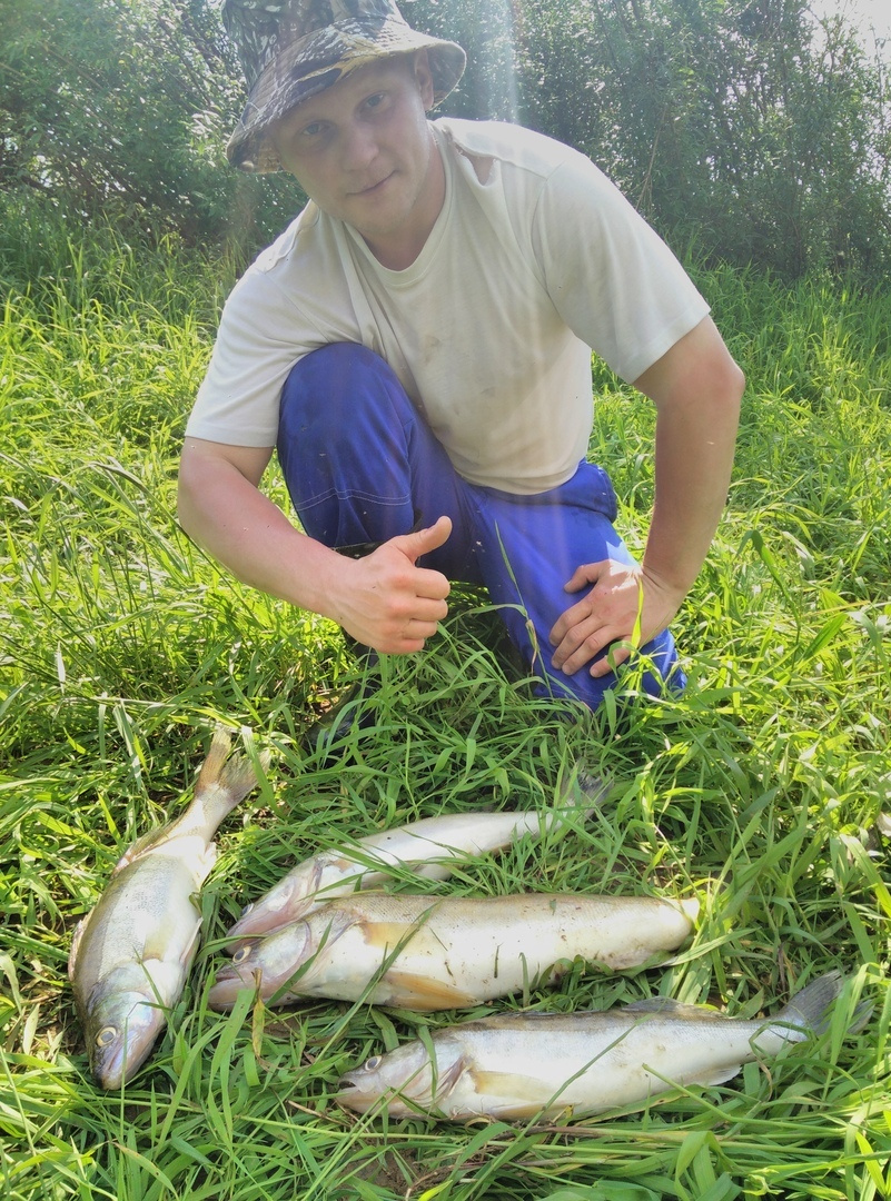 Трофейные выходные: где в Кировской области поймать 7-килограммовую щуку? Еженедельный отчёт с кировских водоёмов