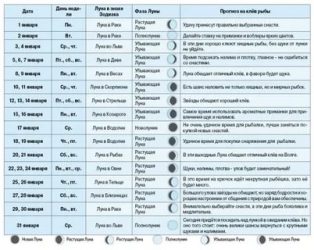 Влияние фазы луны на клев щуки