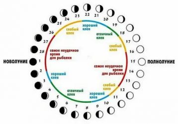 Влияние фазы луны на клев щуки
