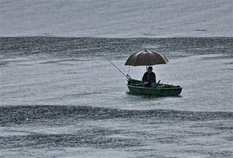 Влияние погоды на щуку и в какую погоду лучше клёв