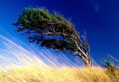 приметы хорошей и плохой погоды