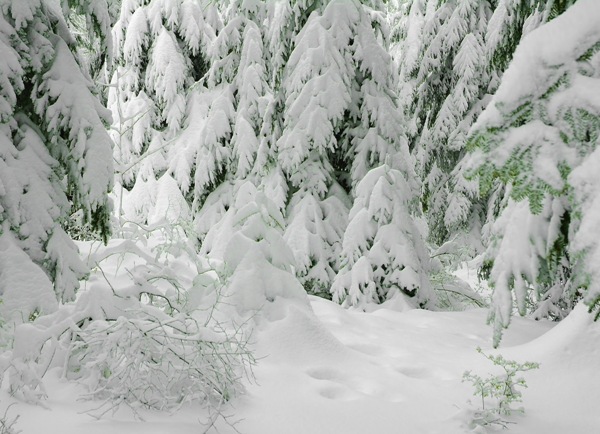 Народные приметы о зиме узнайте что вас ждет