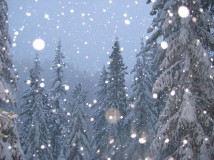 Народные приметы о зиме узнайте что вас ждет