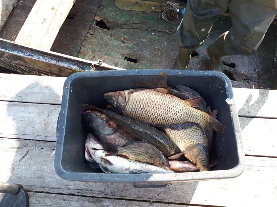 Зимняя рыбалка на карася под Киевом на озере «Глория Фишинг»