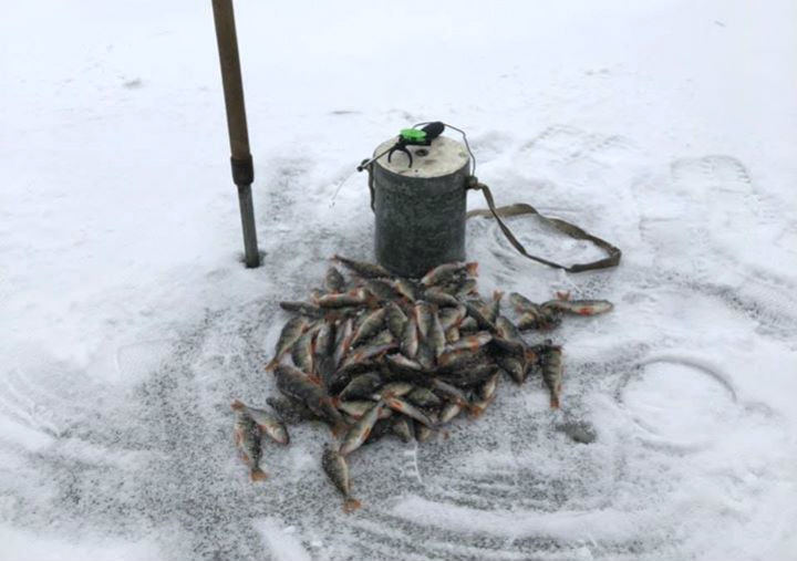 Зимой на окуня в Забирье, возле Киева