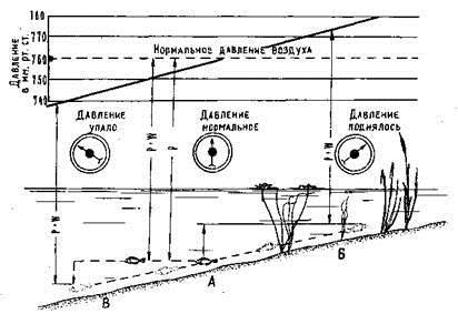 Атмосферное давление для рыбалки: влияние изменений погоды на клев