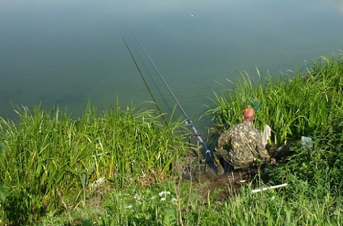 Атмосферное давление для рыбалки: влияние изменений погоды на клев