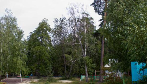 озера Ульяновской области