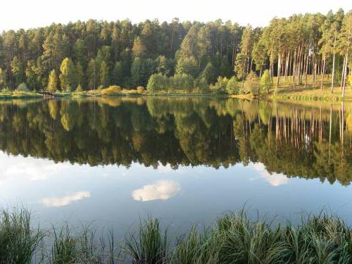 Белое озеро Ульяновская область