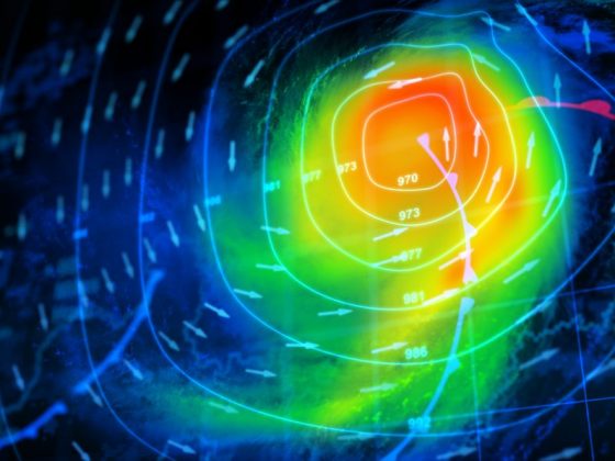 Точность прогноза составляет 80 %