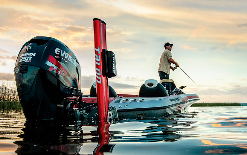 Прогноз клева рыбы и график клева по месяцам