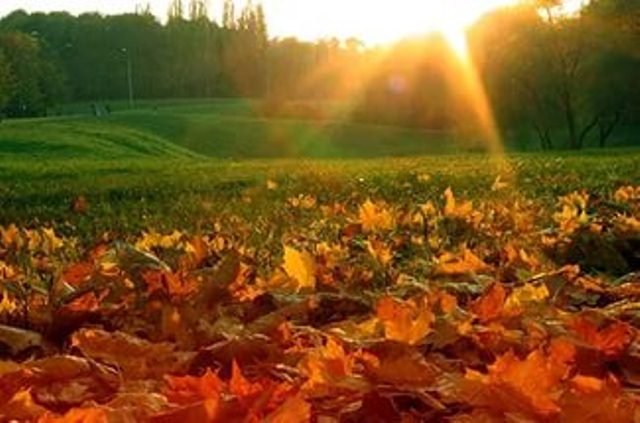 Приметы в октябре