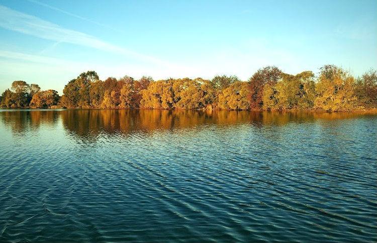 Влияние ветра на клев рыбы.