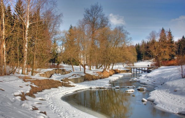 Когда отмечают?