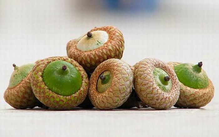 Какая будет зима? Народные приметы о погоде зимой