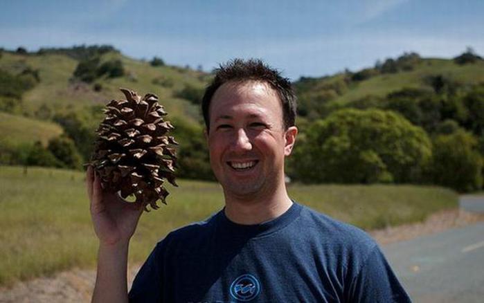 Какая будет зима? Народные приметы о погоде зимой