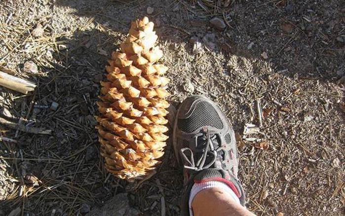 Какая будет зима? Народные приметы о погоде зимой