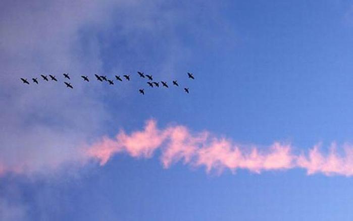 Какая будет зима? Народные приметы о погоде зимой