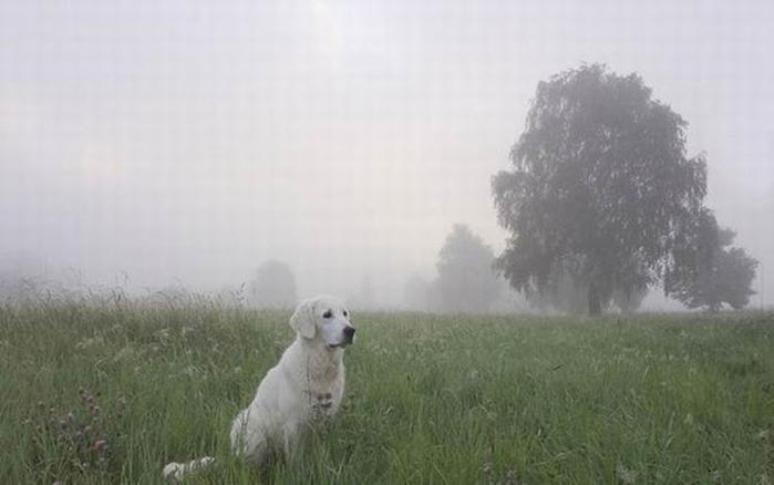 Какая будет зима? Народные приметы о погоде зимой