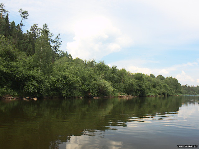 прогноз клёва хариуса