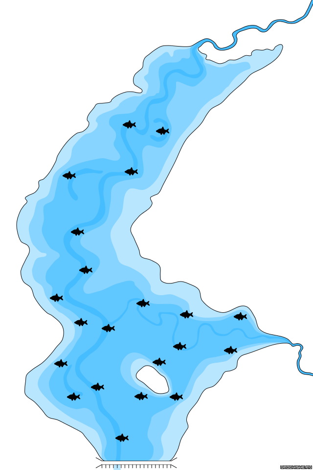 Активность лишя по первому льду