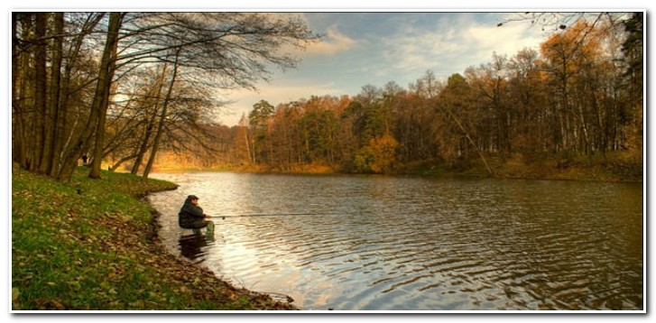 донка осенью