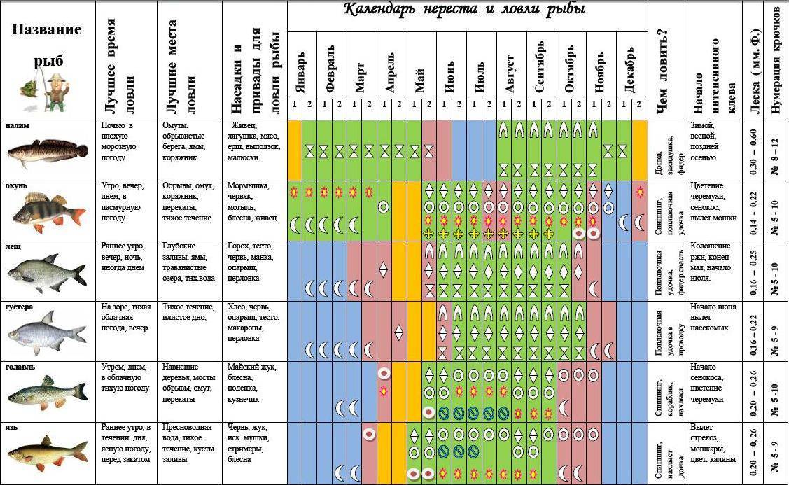 В какую погоду лучше ловить рыбу, как погодные условия влияют на клев