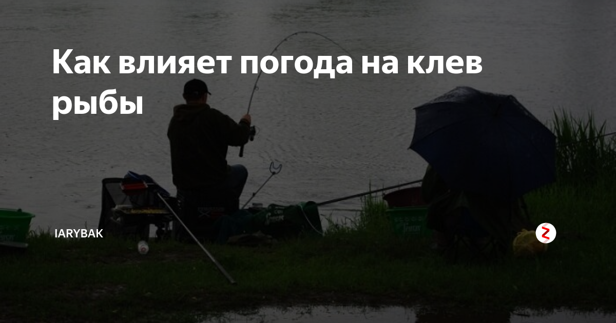 Какая погода лучше для рыбалки