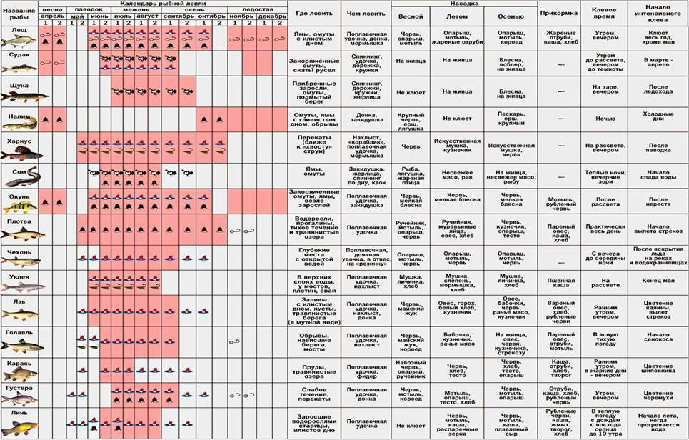 Погода для рыбалки: атмосферные явления и клёв