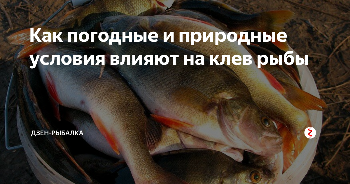 Какой ветер лучше для рыбалки