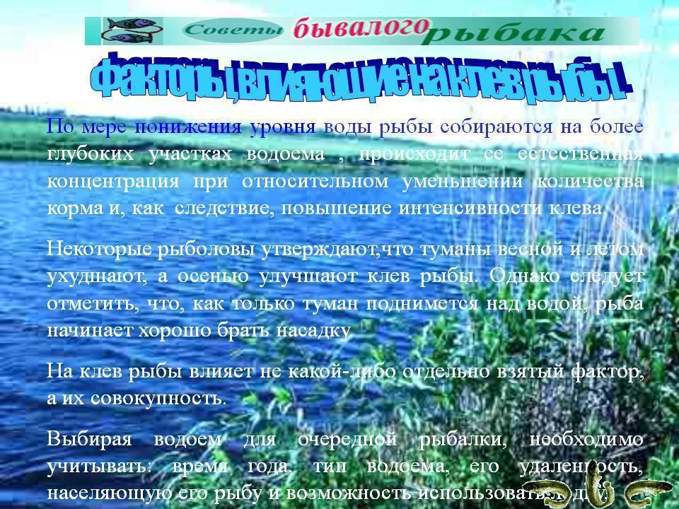 Ночная рыбалка: снасти и тактика. о поплавках и светлячках.