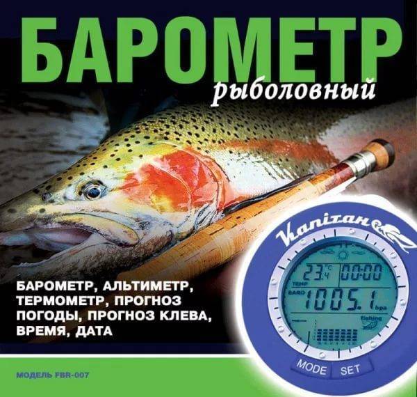 Когда клюет рыба – условия для лучшего клева