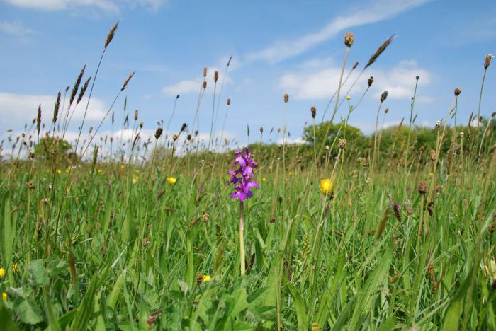 народные приметы на май