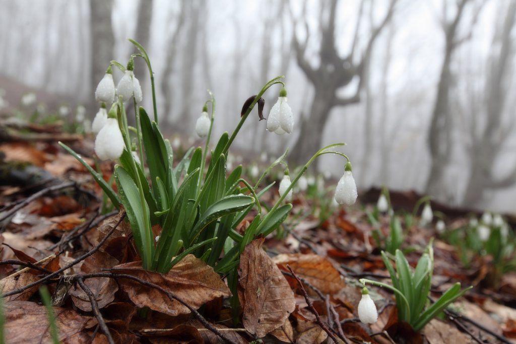 Народные приметы на апрель 2021 года на каждый день