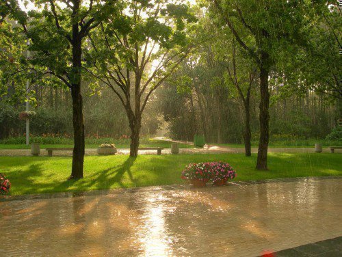 Дождь в августе