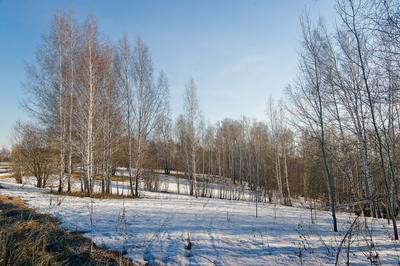 Март: уже не зима, еще не весна
