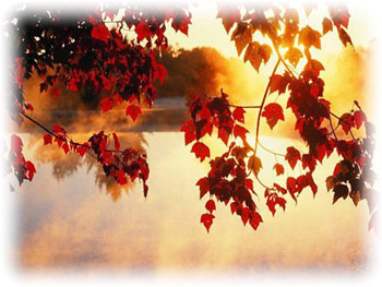 народные приметы осень фото