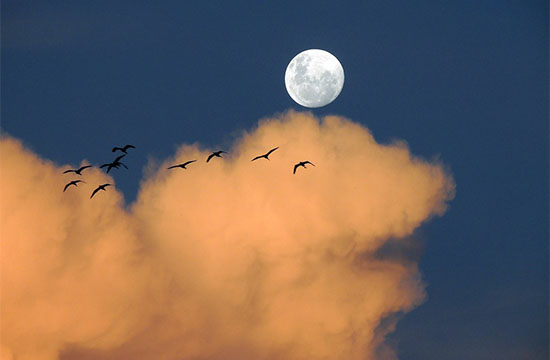 Народные приметы на Троицу на погоду, традиции и обряды для желающих забеременеть