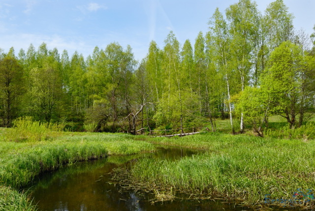 Приметы неживой природы о погоде на основе наблюдений за явлениями
