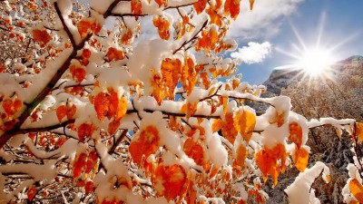 Снежный ноябрь