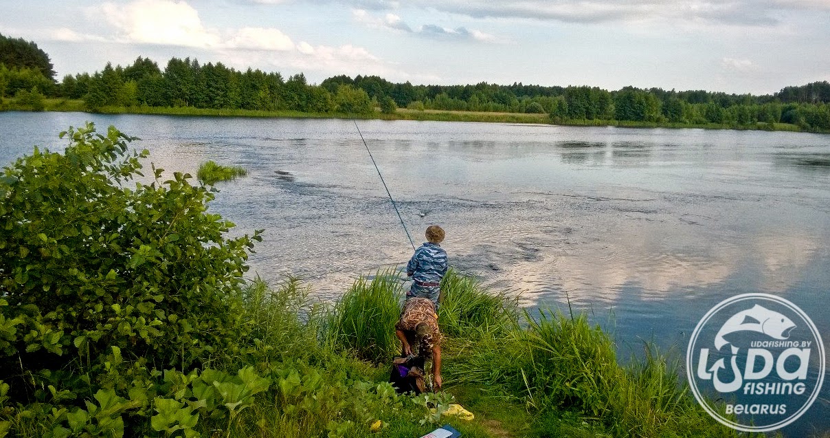 Прогноз клева рыбы в Лиде
