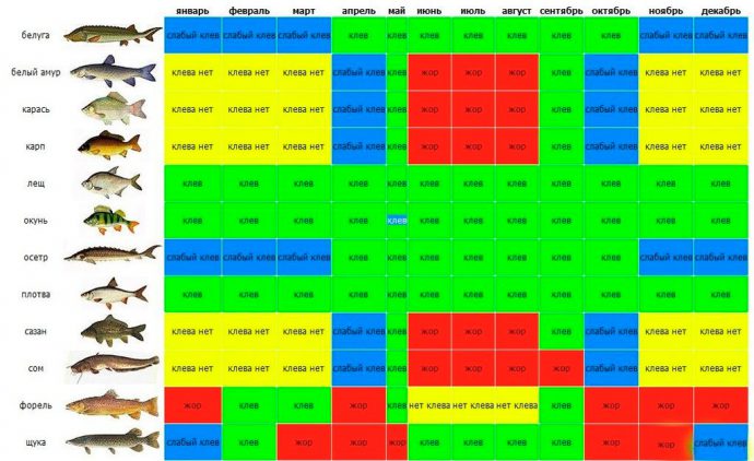 График клева рыбы