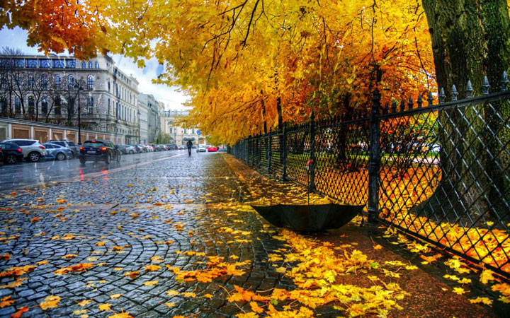 Осень 2021 года в России - прогнозы метеорологов