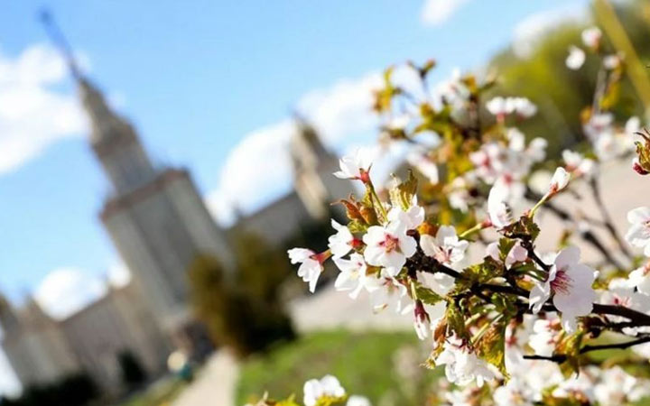 Погода весной 2021 года в регионах России