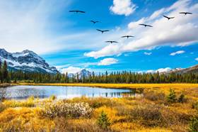 Прогноз на завтра рыбалка