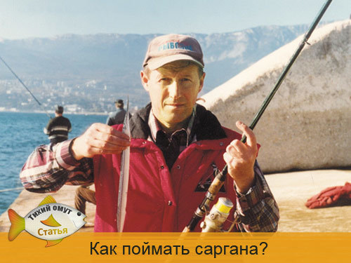 Рыба сарган черноморский: характеристика, поведение, способы ловли
