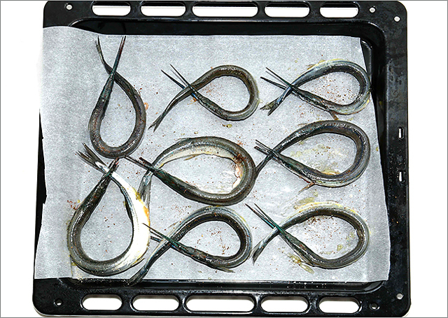 Рыба сарган черноморский: характеристика, поведение, способы ловли